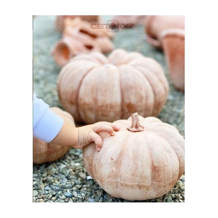 Terracotta Pumpkin